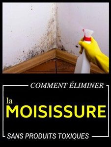 https://www.agence-activimmo.fr/wp-content/uploads/2019/03/eliminier_moisissure-226x300.jpg